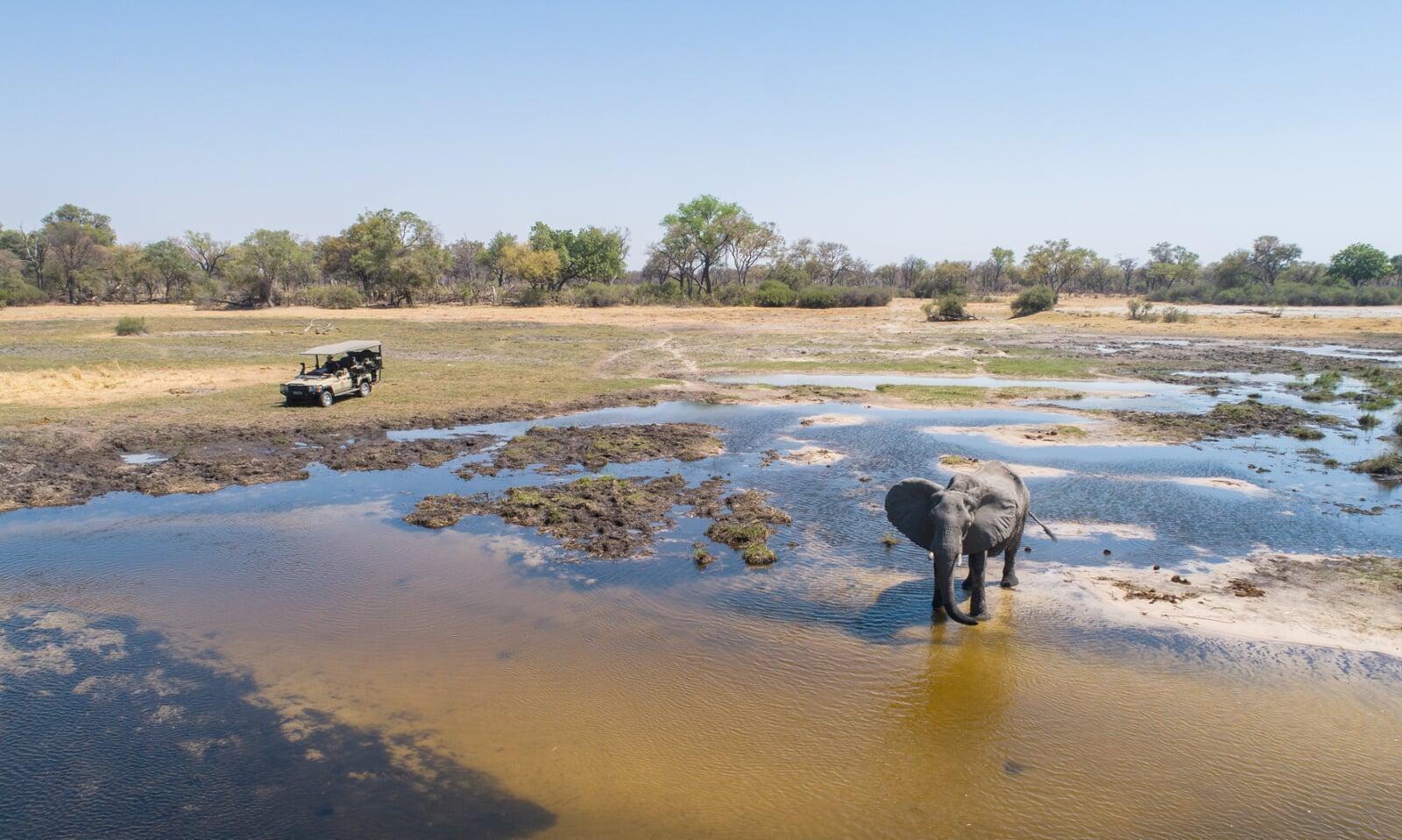 Moremi Game Reserve, Botswana