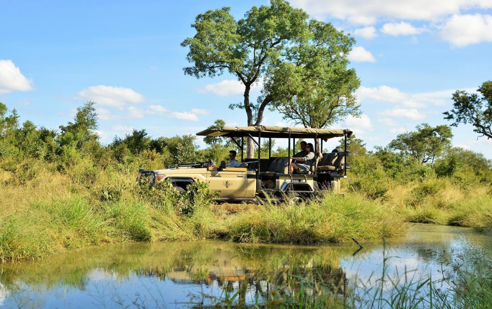 Game drive in the Kruger National Park, South Africa