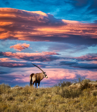 Nxai Pan, Botswana