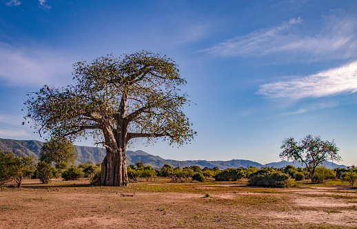 Lower Zambezi, Zambia
