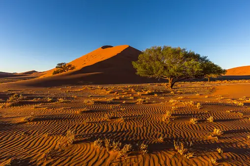 Kgalagadi Transfrontier Park